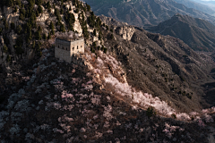 ★南面称孤★采集到景