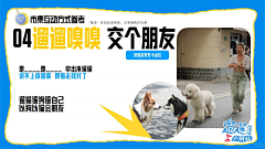 飞白即灰采集到PPT