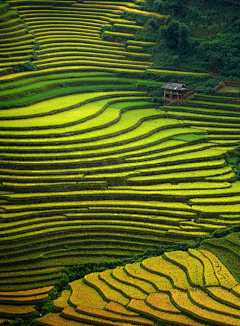 你也搞景观采集到美丽乡村休闲旅游