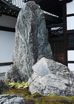 莘路采集到石头