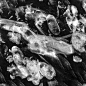 FINGERPRINT_medium_04_base_tiled_8b