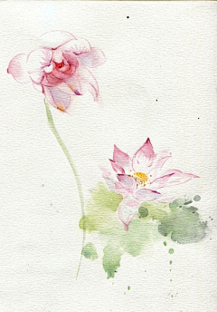墨柒七采集到【绘画】水彩花卉