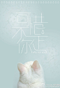 字体· 躲在某一时间，想念一段时光的掌纹； 躲在某一地点，想念一个站在来路也站在去路的，让我牵挂的人。 可惜不是你 陪我到最后。。。