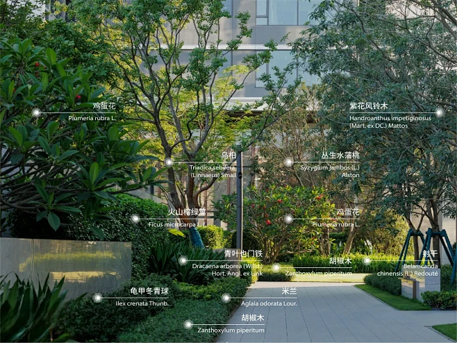 中海荔府植物营造深度分享 / 中海集团&...