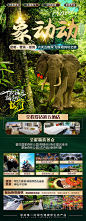 版纳宣传海报-源文件