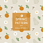 Great spring pattern with oranges and daisies Free Vector