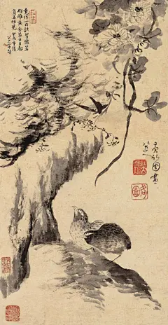 八大山人书画精品欣赏