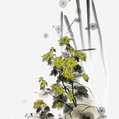 墨菊花下载_新图网 https://www.ixintu.com 工笔画 菊花 风景 船 手绘 高清免抠