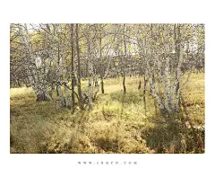 《秋后》_内蒙古_黄河上下_光影天下_数码生存-小林的摄影设计手绘文字