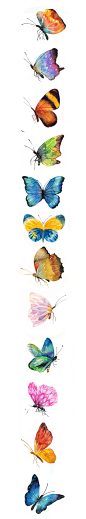 14601PNG免抠手绘植物 动物 绿植 树叶 花素材 免扣图片一大波蝴蝶正在袭来~-candy田_水彩 绘本 虫 蝴蝶_涂鸦王国插画