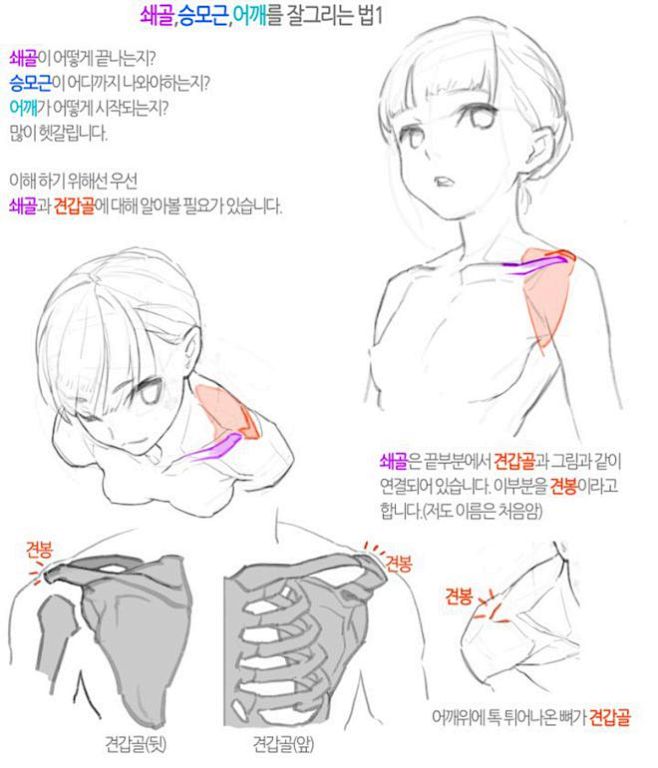 头颈肩关系如何画好？板绘头颈肩关系画法！...