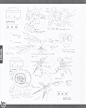 数码宝贝设定集2