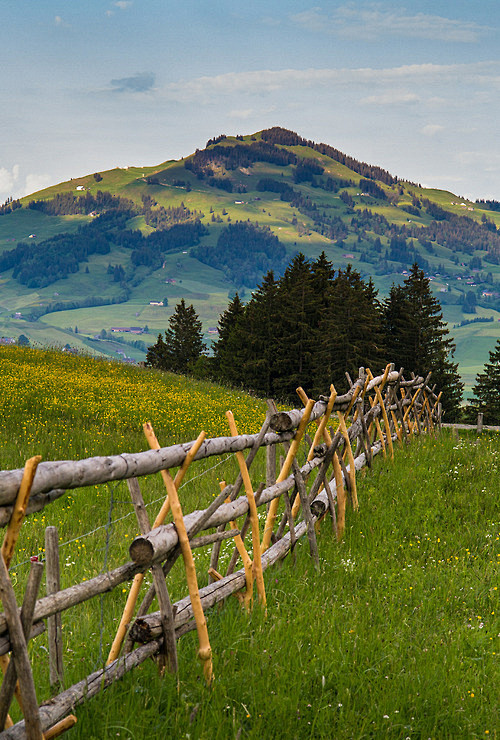 山谷，Appenzellerland，瑞...