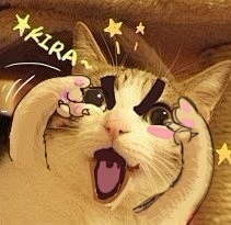 瓜皮猫表情包下载-瓜皮猫表情包下载免费下...