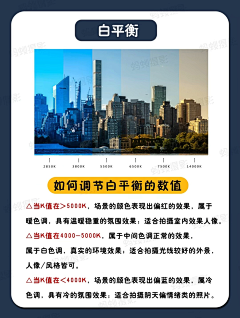 表个态采集到理念知识