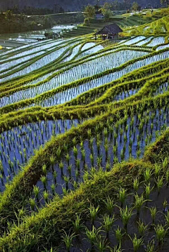 爱上一座城因为一个人采集到风景图片