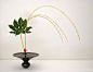 https://sites.google.com/site/artfloralikebana/cours-d-art-floral-japonais-ikebana/style-shoka-shimputai