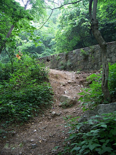 本愿贞采集到山石-地形