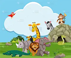 自然,野外动物,白色,可爱的,性格,野生动物,图像,矢量,分离着色,动物