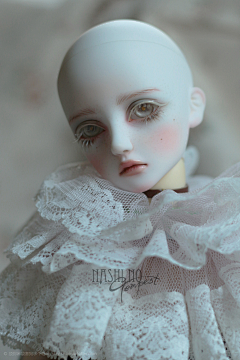 glsubkRi采集到bjd