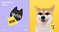 YUTA芋芋-宠物生活-古田路9号-品牌创意/版权保护平台