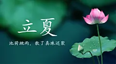 立夏节气祝福问候夏天广告banner