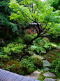 宝泉院 (Japanese garden): 