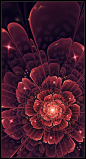 Crystal Rose by lindelokse