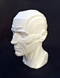 Anatomy Next - store - TOPOLOGY HEAD