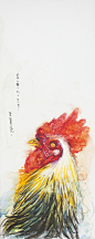 [水彩/水粉]肉食”鸟“-4 - 胡来网 | HOOLAY.CN
