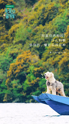 买大买小采集到背景图加字