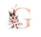 粉系唯美水彩手绘花卉字母婚礼请柬装饰LOGO 免扣PNG图案设计素材 (74)