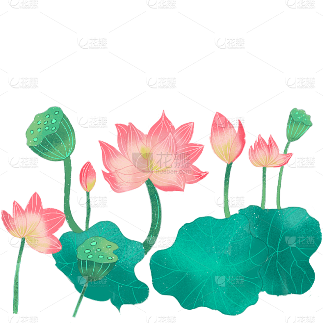 手绘-七夕氛围元素-荷花