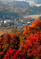 黟县塔川村——最有乡情的秋色
塔川又名塔上，是黄山市黟县众多美丽村落中一个独具魅力的小村落，这里的秋色被誉为全国四大秋色之一。