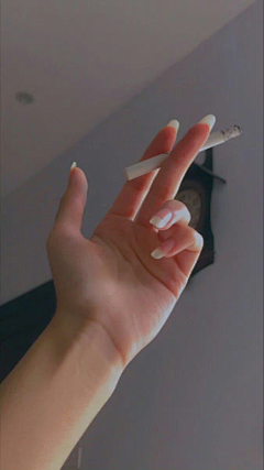yJORKpAn采集到手