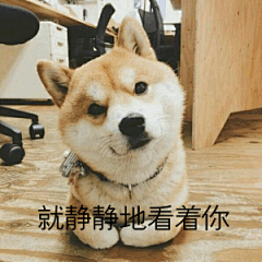 要亲亲！表情包_要亲亲！表情包下载_要亲亲！动态gif表情图-4399聊天表情包大全