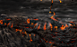 Burning Embers : Concept:The idea was inspired by the images i collected, It was one of those accidental pieceswhich i sometimes pull out of the bag with out really thinking about it, My thinking and developing process occurs in the process of the design.