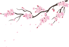 仓果锅锅采集到腊八
