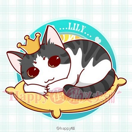 谢谢这几天给猫猫们寄来过节礼物的朋友们以...