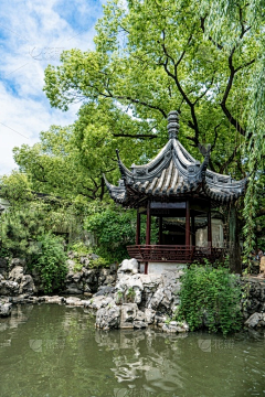zmc、小太阳采集到庭院