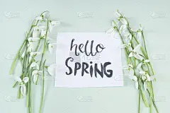 你好春天的书法笔记装饰以雪花莲在浅绿色的背景。