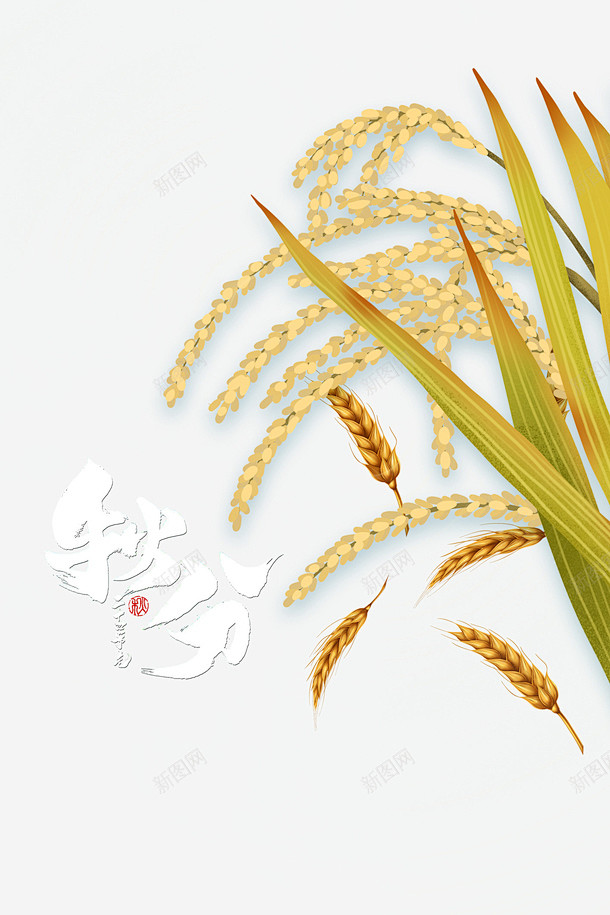 秋天秋分麦子稻子高清素材 秋分 秋天 稻...