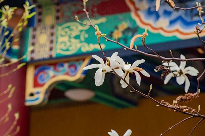 禅意禅境正觉寺寺院美图