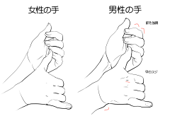 蜉蝣小年采集到h练习