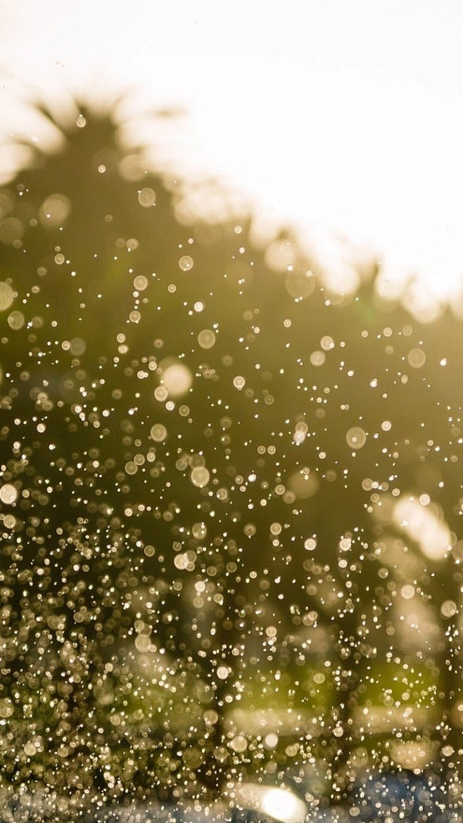 你的城市，下雨了么
我的城市，倾盆大雨 ...