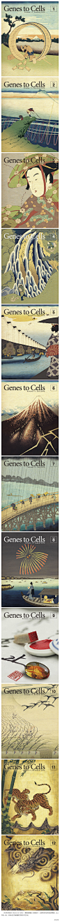 日本科学杂志《Genes to Cells》封面设计2012