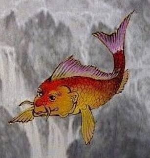 赤鱬《山海经·南山经》：“青丘之山……英...