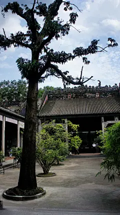 广州城市文化名片之陈氏书院
