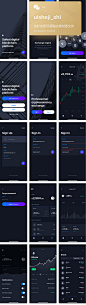 ui577-区块链应用界面包虚拟货币 数字货币 启动页 引导页 K线图 注册 登录 错误提示 忘记密码 主页 钱包 统计 数据 报表 提醒 走势图 币市 钱包 计划 安排 设置 个人资料 请求 支付 清单 列表 卡片 比特币 弹窗 曲线图 菜单 密码 暗色 UI Kit@1x
