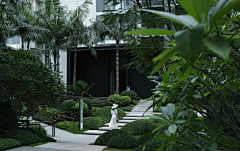 case-cheung采集到Ying